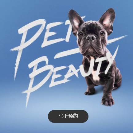 响水宠物中心小程序开发